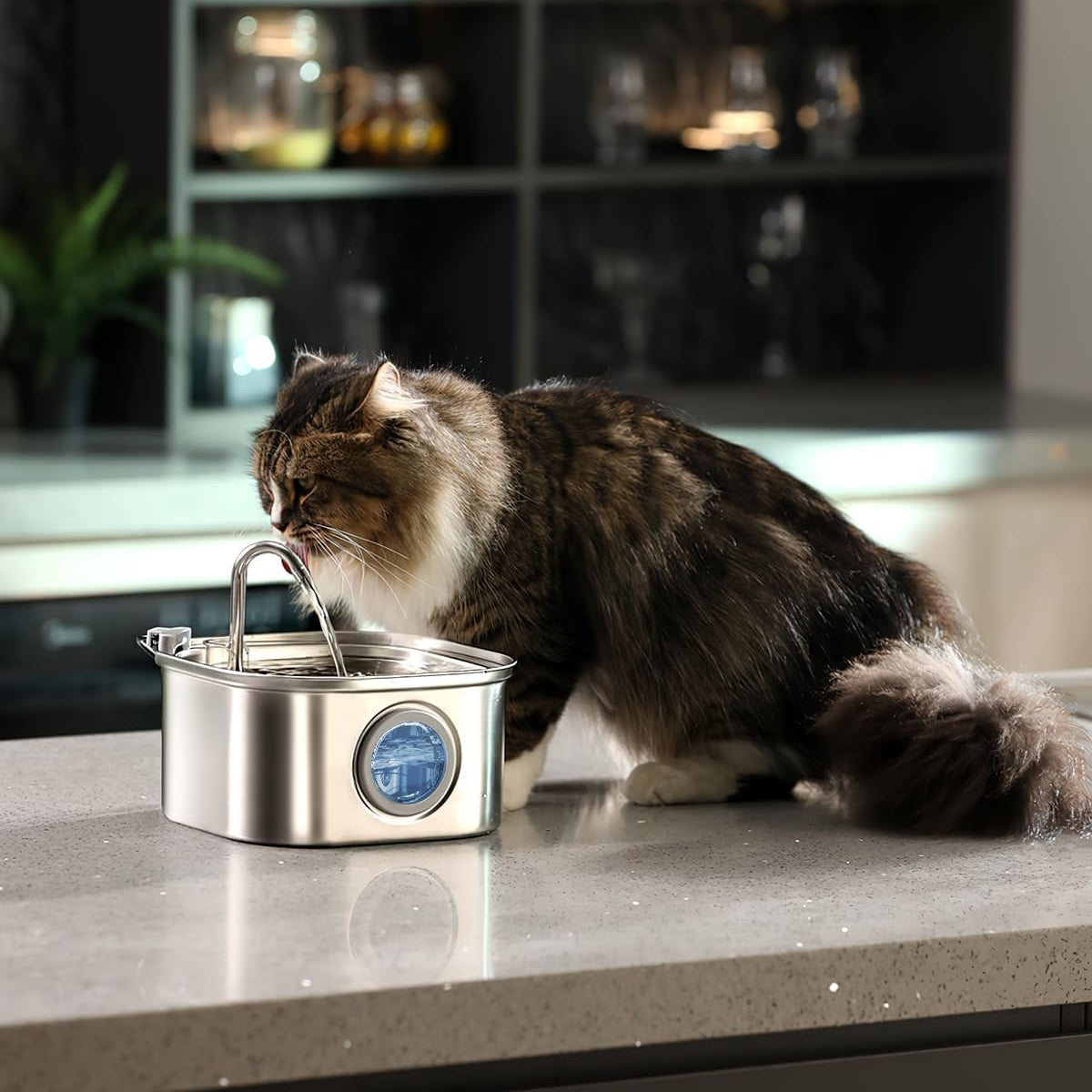 Give Your Cat a Healthier, Longer Life — With Petiva®