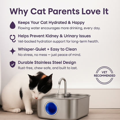 Give Your Cat a Healthier, Longer Life — With Petiva®